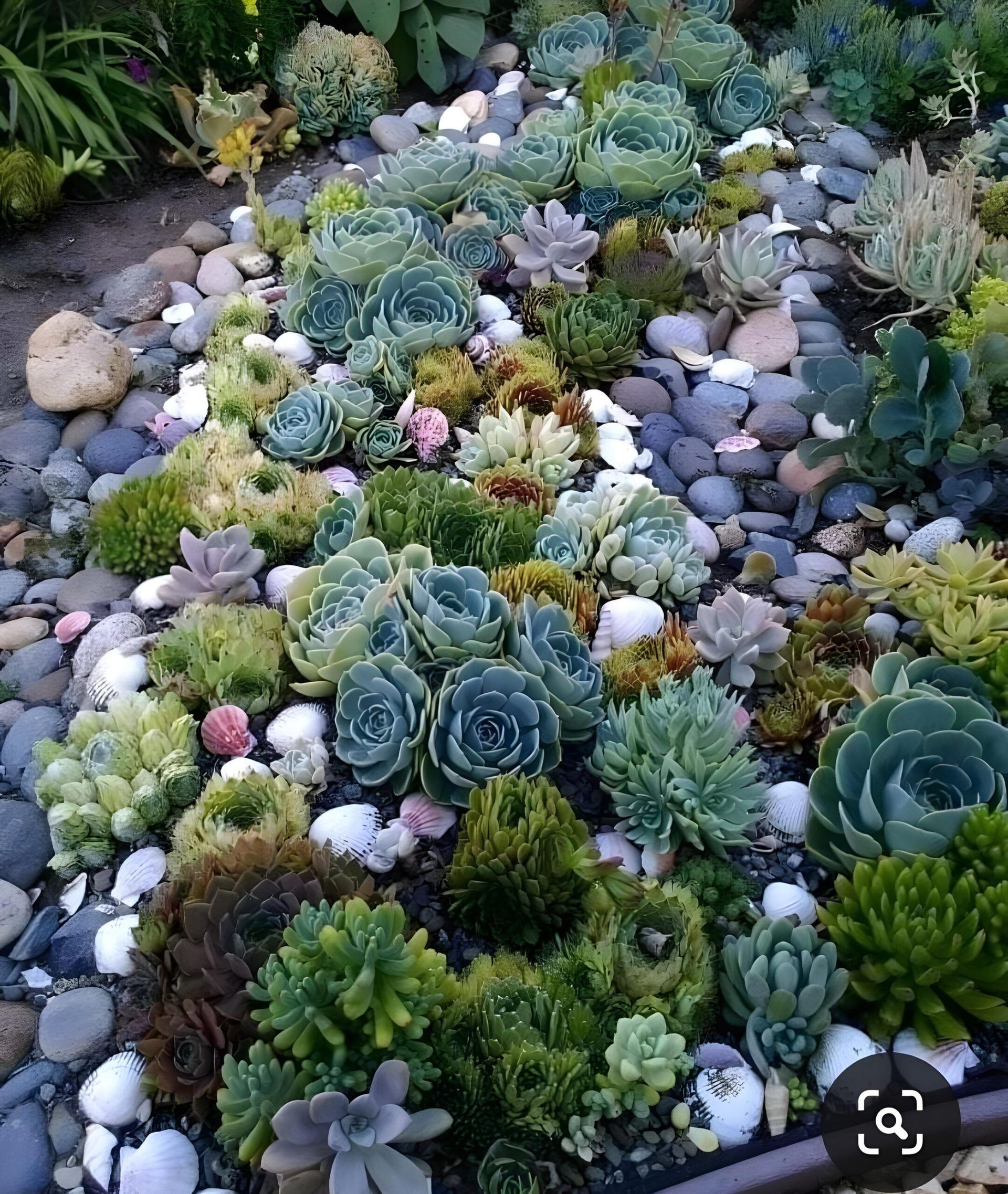 Serene